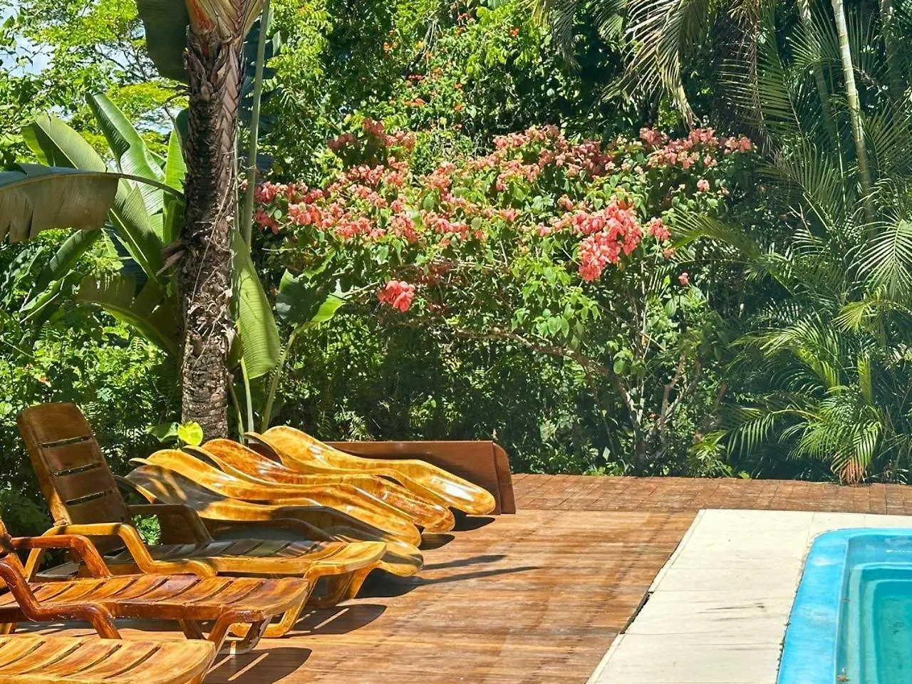 Bosque Do Arraial Villa Porto Seguro Lodge