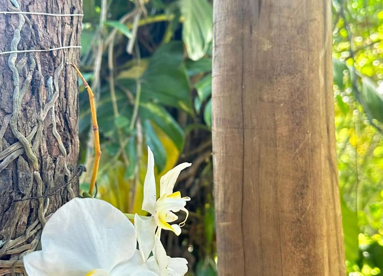 Lodge Bosque Do Arraial Villa Porto Seguro